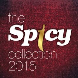 Album cover of The Spicy Collection 2015