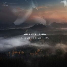 Album cover of Fog and Feathers
