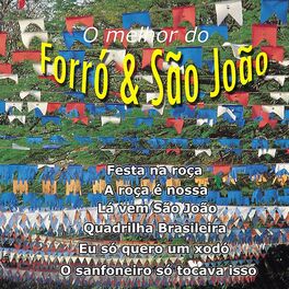 Album cover of O Melhor do Forró & São João