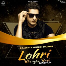 Album cover of Lohri Bhangra Bash Mashup
