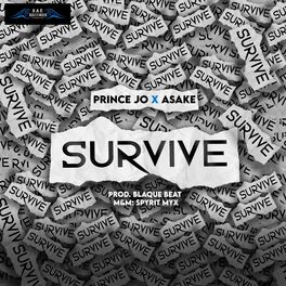 Album cover of Survive