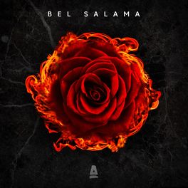 Album cover of Bel Salama