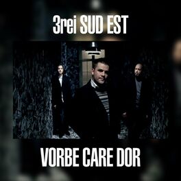 Album cover of Vorbe Care Dor