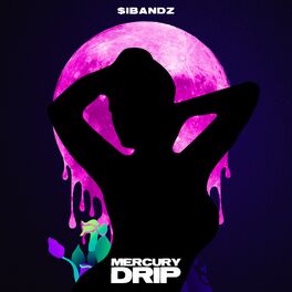 Album cover of Mercury Drip