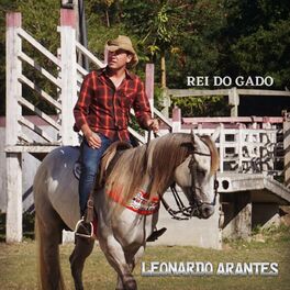 Album cover of Rei do Gado