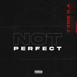 Album cover of Not Perfect