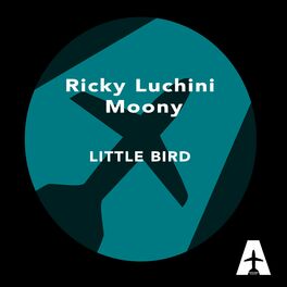 Album cover of Little Bird (EP Extended Play)