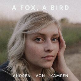 Album cover of A Fox, a Bird