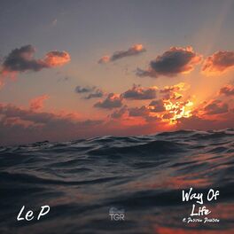 Album cover of Way of Life