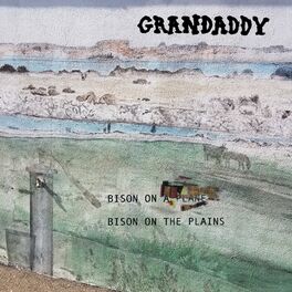 Album cover of Bison on the Plains