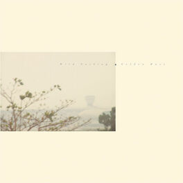 Album cover of Golden Haze
