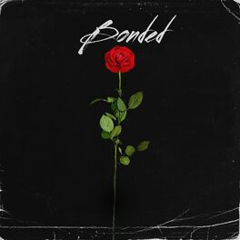 Album cover of Bonded (feat. VALORANT, WEY & TAEMIN)