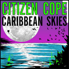 Album cover of Caribbean Skies