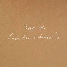 Album cover of Sag ja (ich bin ruiniert)