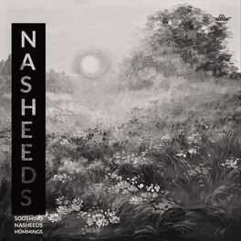 Album cover of Aseer