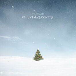 Album cover of Christmas covers