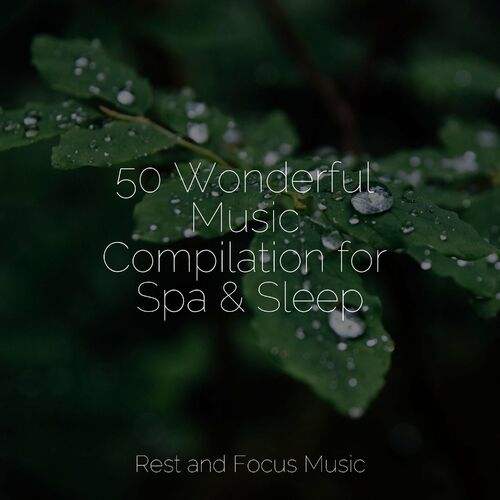 Ambiente - 50 Wonderful Music Compilation for Spa & Sleep: текстове и ...