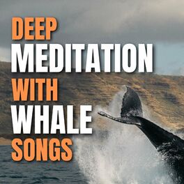 Album cover of Deep Meditation with Whale Songs