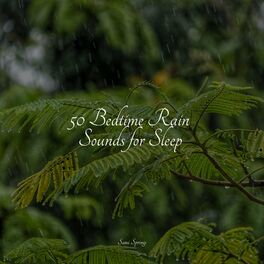 Album cover of 50 Bedtime Rain Sounds for Sleep