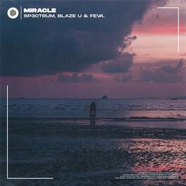 Album cover of Miracle