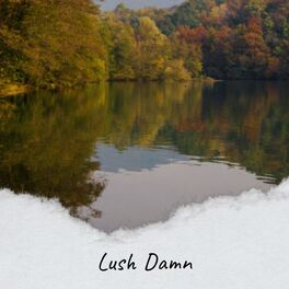 Album cover of Lush Damn