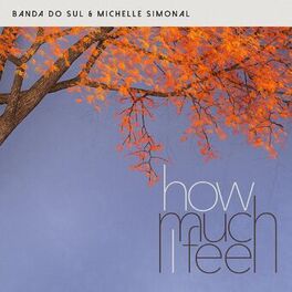 Album cover of How Much I Feel