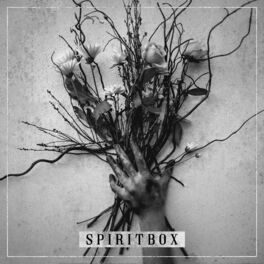 Album cover of Spiritbox