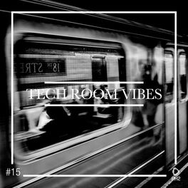 Album cover of Tech Room Vibes, Vol. 15