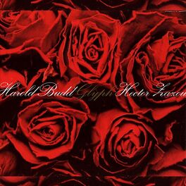 Album cover of Glyph