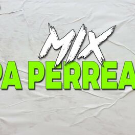 Album cover of MIX PA' PERREAR