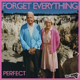 Album cover of Forget Everything