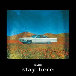 Album cover of Stay Here