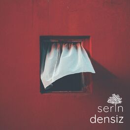 Album cover of Densiz