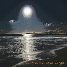 Album cover of On a Moonlight Night