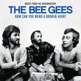 Album cover of How Can You Mend A Broken Heart