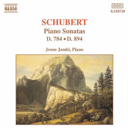 Album cover of SCHUBERT: Piano Sonatas, D. 784 and D. 894