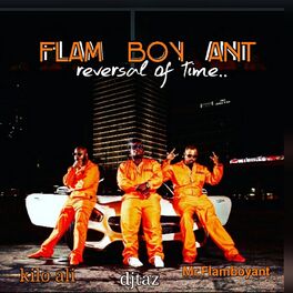 Album cover of Flam Boy Ant