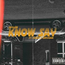 Album cover of Know Say