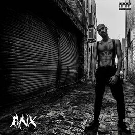 Album cover of ANX