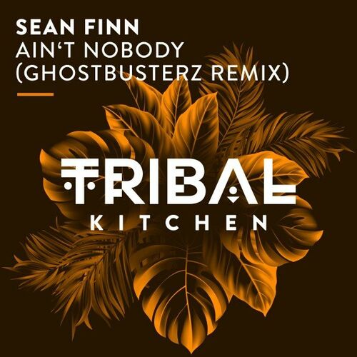 Sean Finn - Ain't Nobody (Ghostbusterz Remix) (2023)