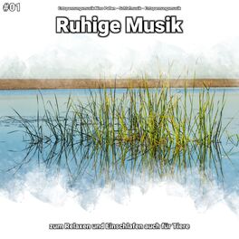 Album cover of #01 Ruhige Musik zum Relaxen und Einschlafen auch für Tiere