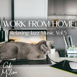 Album cover of Work from Home, Vol. 5 (Relaxing Jazz Music)