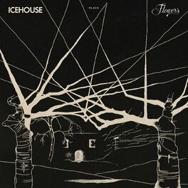 Album cover of ICEHOUSE Plays Flowers Live