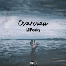 Album cover of Overview (feat. Ookay & OTR)
