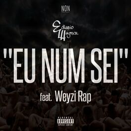 Album cover of Eu Num Sei