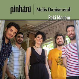 Album cover of Peki Madem