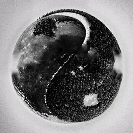 Album cover of Fung Shway