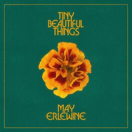 Album cover of Tiny Beautiful Things