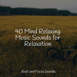 Album cover of 40 Mind Relaxing Music Sounds for Relaxation