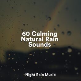Album cover of 60 Calming Natural Rain Sounds